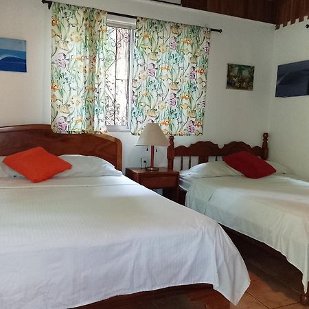 Playa Santa Teresa  Mal Pais Surf Camp酒店 外观 照片