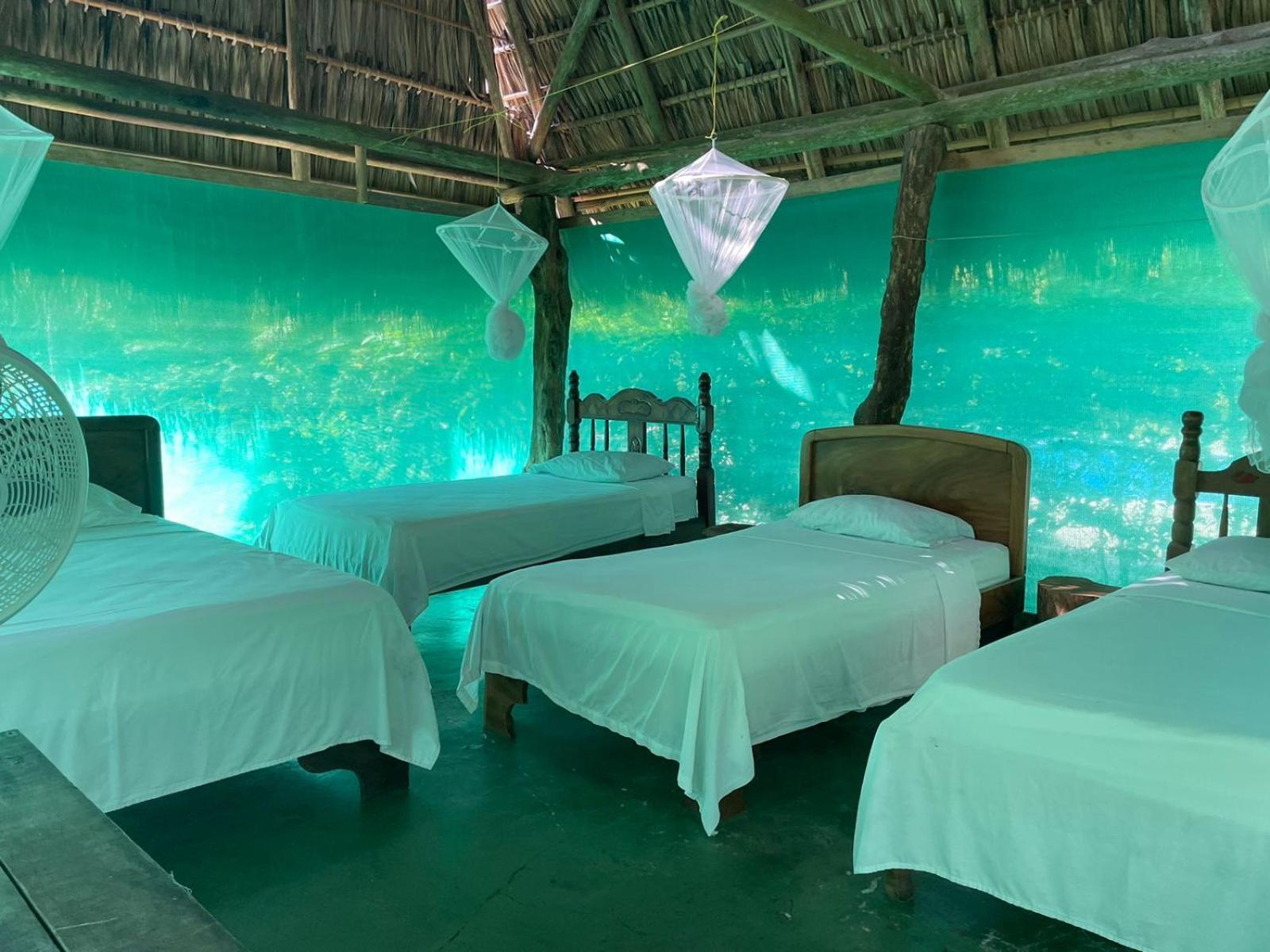 Playa Santa Teresa  Mal Pais Surf Camp酒店 外观 照片