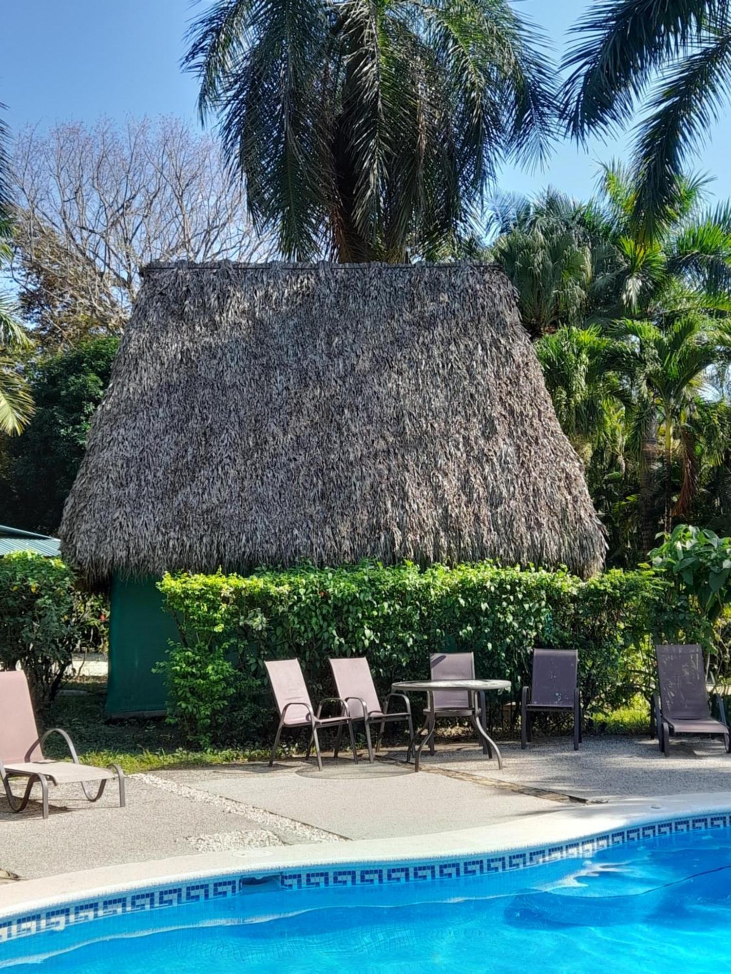 Playa Santa Teresa  Mal Pais Surf Camp酒店 外观 照片
