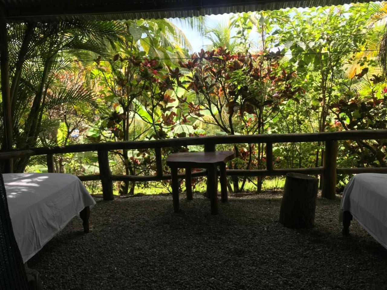 Playa Santa Teresa  Mal Pais Surf Camp酒店 外观 照片