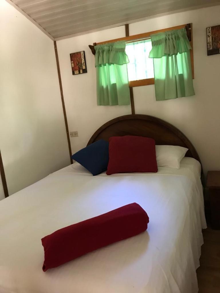 Playa Santa Teresa  Mal Pais Surf Camp酒店 外观 照片