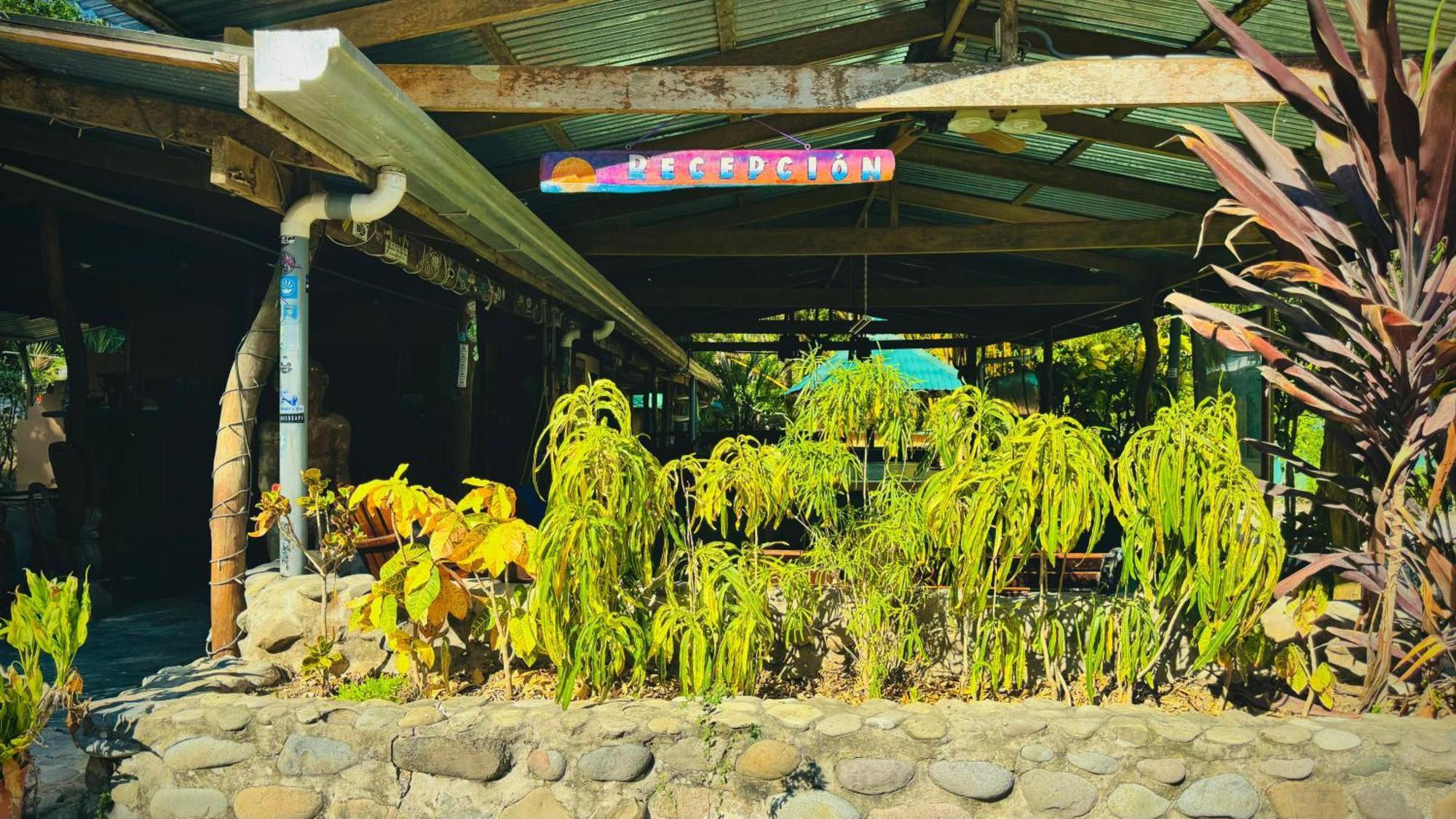 Playa Santa Teresa  Mal Pais Surf Camp酒店 外观 照片