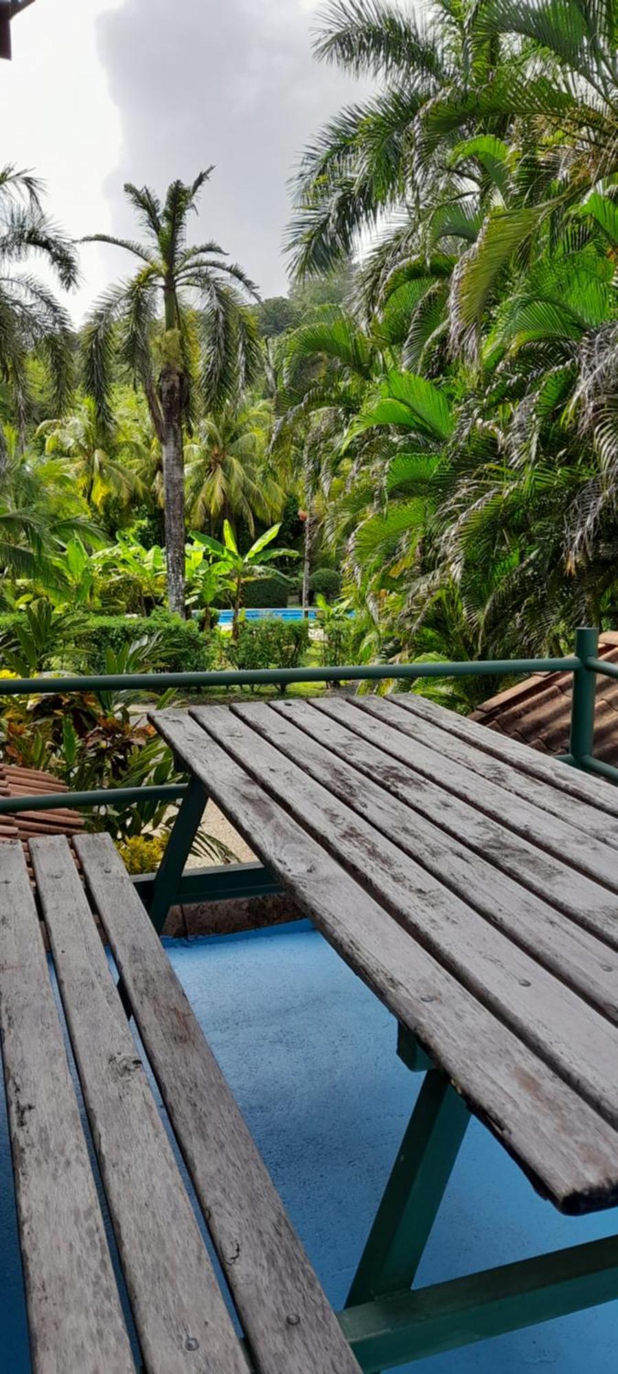Playa Santa Teresa  Mal Pais Surf Camp酒店 外观 照片