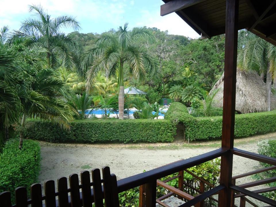 Playa Santa Teresa  Mal Pais Surf Camp酒店 外观 照片