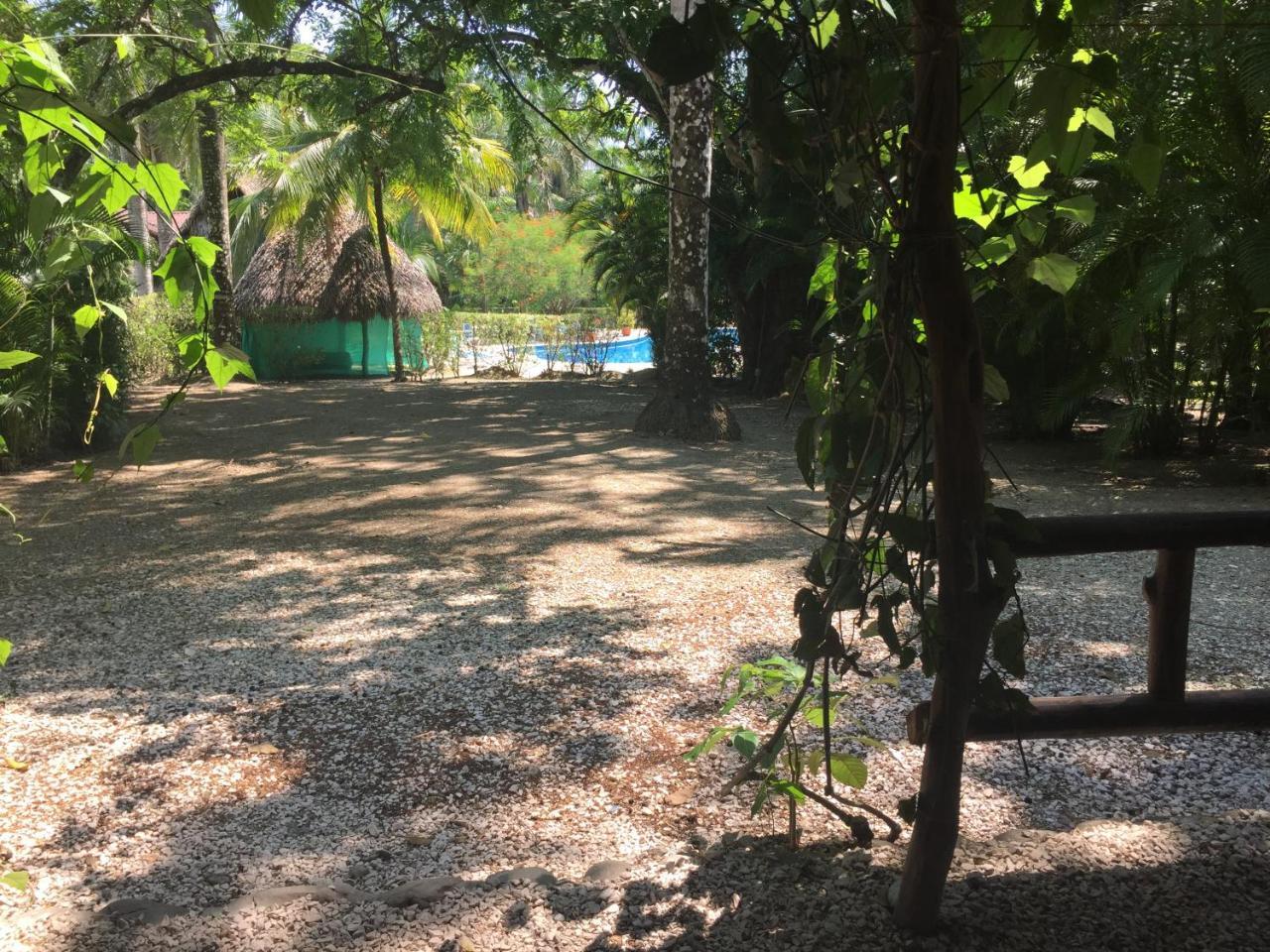 Playa Santa Teresa  Mal Pais Surf Camp酒店 外观 照片