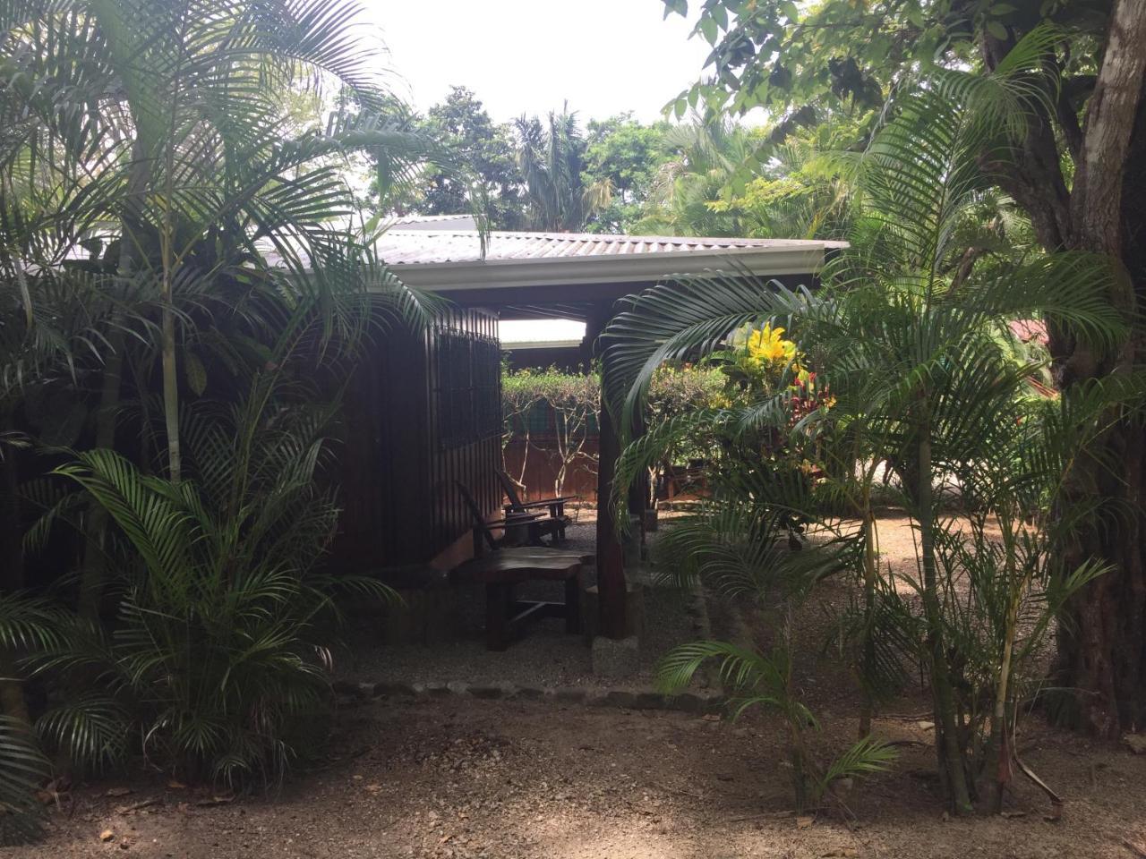 Playa Santa Teresa  Mal Pais Surf Camp酒店 外观 照片
